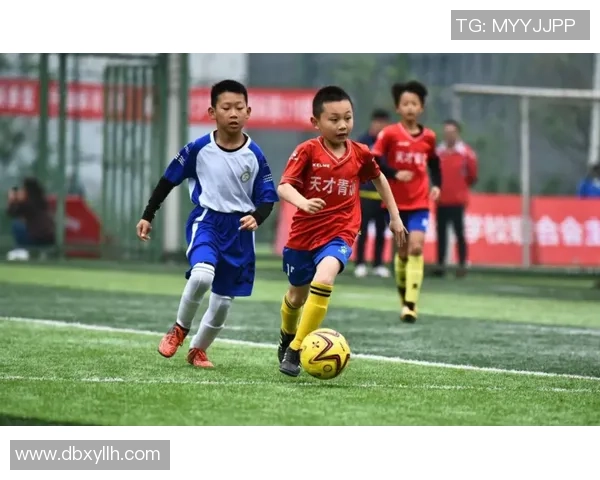 常德市足球发展新篇章青少年培训与职业联赛双轮驱动助力地方体育崛起